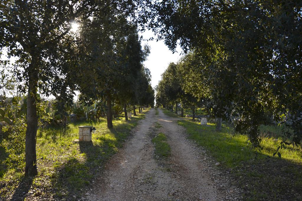 B&B Masseria Del Marchese Castellana Grotte Quarto foto